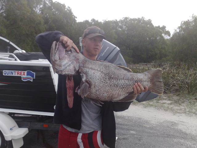 guess the weight guess the weight